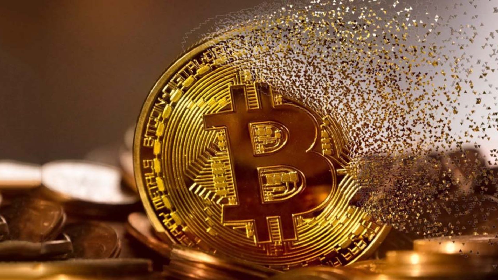 Shill Coin tác động tiêu cực đến thị trường Crypto