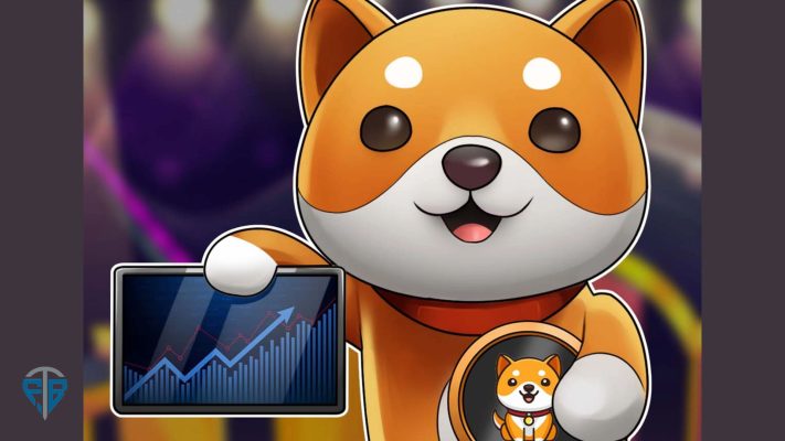 Baby Doge Coin là gì Thông tin 1MBABYDOGE Token mà bạn cần biết