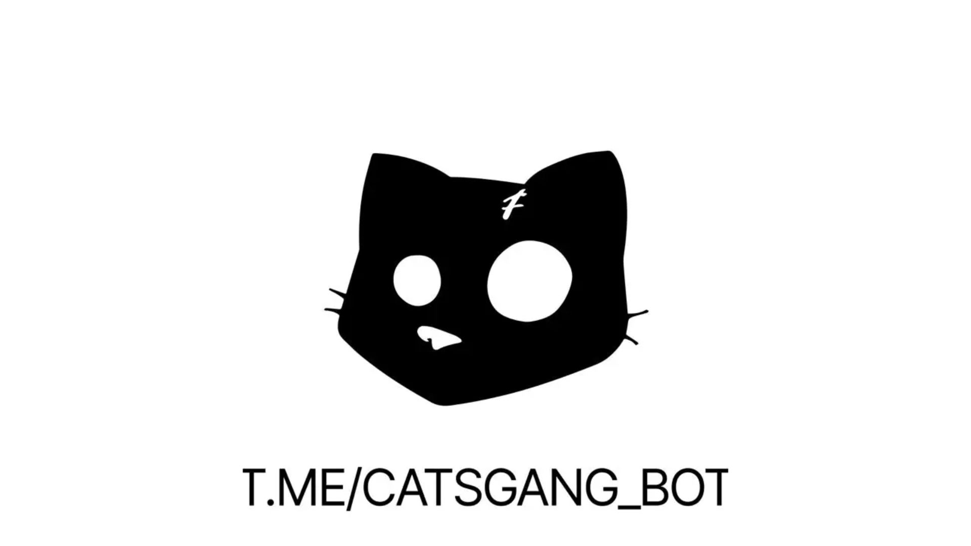 CATS Token chưa phát triển ứng dụng riêng