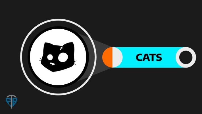 CATS trên Telegram là gì 5 thông tin về CATS Token mà bạn cần biết
