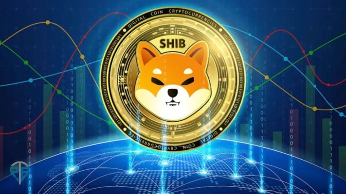 Shiba Inu là gì Các thông tin về SHIB Token mà bạn cần biết