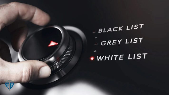 Whitelist là gì Bí kíp săn Whitelist 2024