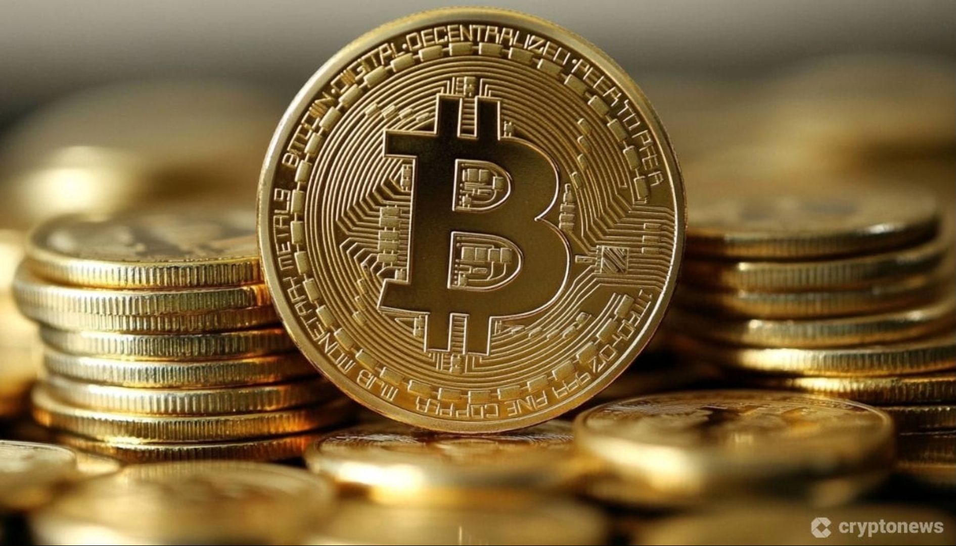 giá bitcoin hôm nay 13 11 2024 4