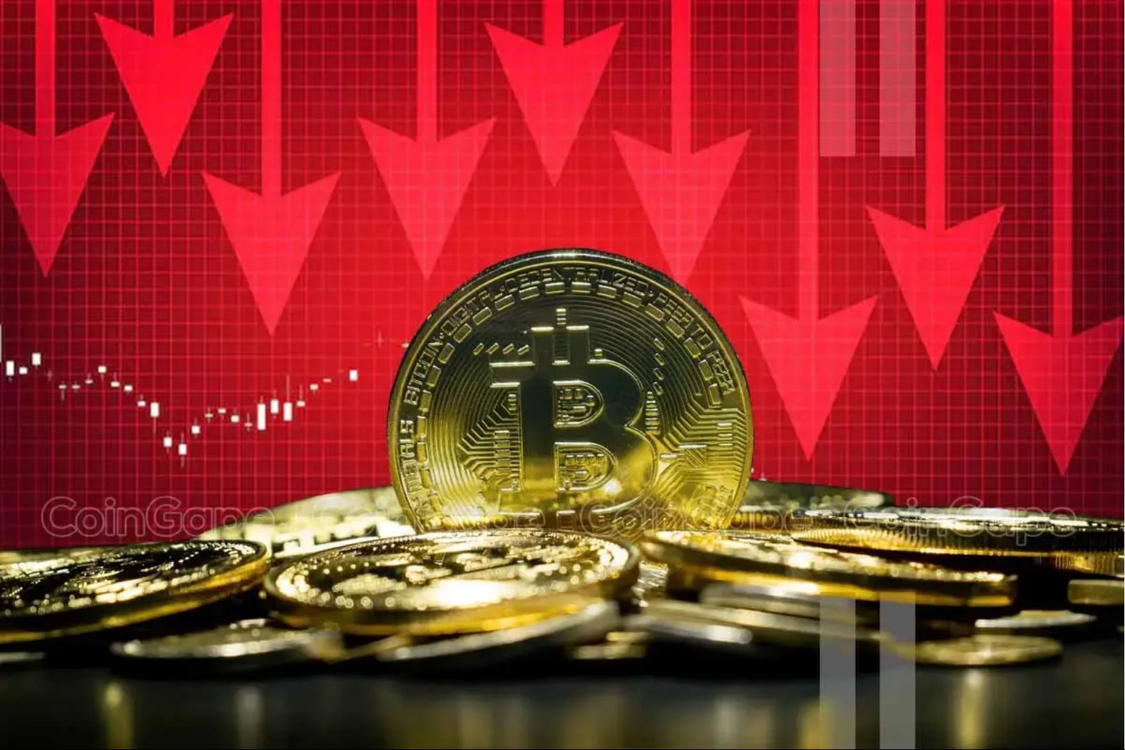 giá bitcoin hôm nay 26 11 2024 4